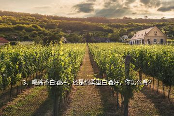 3、喝醬香白酒好，還是綿柔型白酒好，你怎么看？