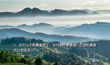 2、農(nóng)村山上的桑葚熟了，如何制作桑葚酒？白酒和桑葚的比例是多少？