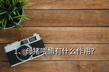 1、母豬喂醋有什么作用？