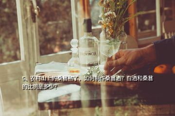 5、農(nóng)村山上的桑葚熟了，如何制作桑葚酒？白酒和桑葚的比例是多少？