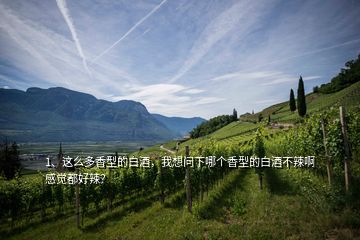 1、這么多香型的白酒，我想問下哪個香型的白酒不辣啊感覺都好辣？