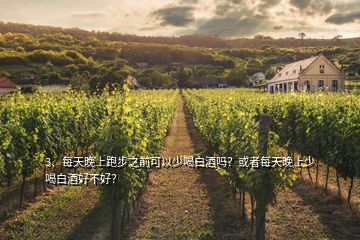 3、每天晚上跑步之前可以少喝白酒嗎？或者每天晚上少喝白酒好不好？