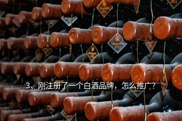 3、剛注冊(cè)了一個(gè)白酒品牌，怎么推廣？
