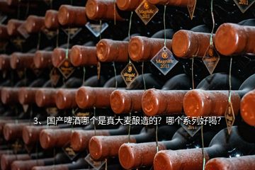 3、國產啤酒哪個是真大麥釀造的？哪個系列好喝？