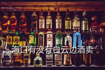 海口有沒(méi)有白云邊酒賣(mài)