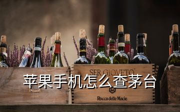 蘋果手機(jī)怎么查茅臺(tái)