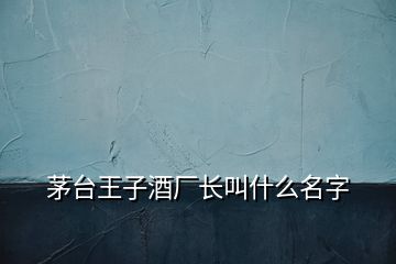 茅臺王子酒廠長叫什么名字