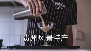 貴州風(fēng)景特產(chǎn)
