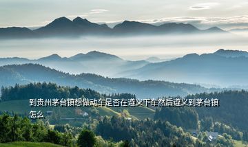 到貴州茅臺(tái)鎮(zhèn)想做動(dòng)車是否在遵義下車然后遵義到茅臺(tái)鎮(zhèn)怎么
