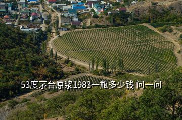 53度茅臺(tái)原漿1983一瓶多少錢 問一問