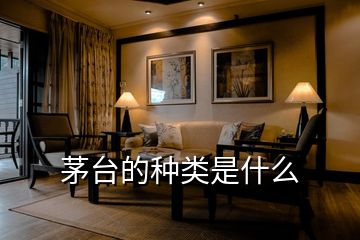 茅臺(tái)的種類(lèi)是什么