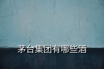 茅臺(tái)集團(tuán)有哪些酒