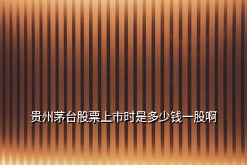 貴州茅臺(tái)股票上市時(shí)是多少錢一股啊