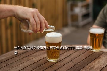 浦東t1航站樓免稅店有沒(méi)有茅臺(tái)或別的中國(guó)酒賣(mài) 急啊急  搜
