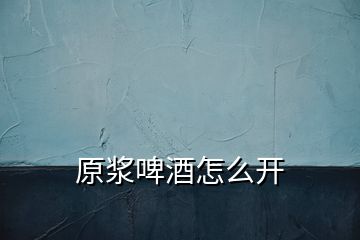 原漿啤酒怎么開