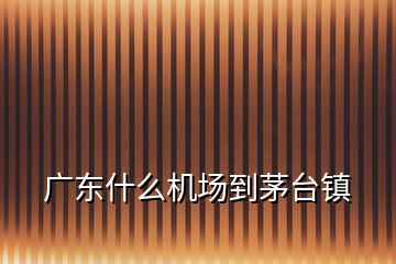 廣東什么機(jī)場到茅臺(tái)鎮(zhèn)