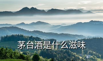 茅臺酒是什么滋味