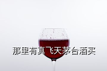 那里有真飛天茅臺酒買