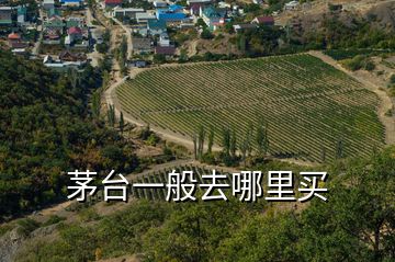 茅臺一般去哪里買