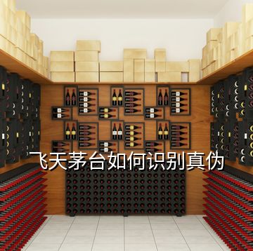 飛天茅臺(tái)如何識(shí)別真?zhèn)?></p>
<h2 id=