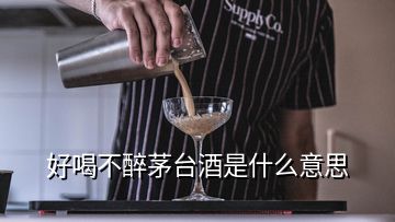 好喝不醉茅臺酒是什么意思
