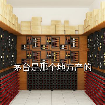 茅臺是那個地方產的