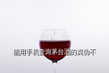 能用手機(jī)查詢茅臺(tái)酒的真?zhèn)尾?></p>
<h2 id=