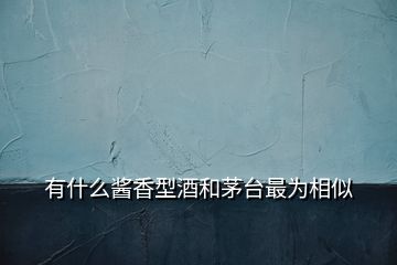 有什么醬香型酒和茅臺最為相似