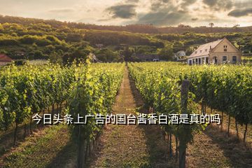 今日頭條上廣告的國臺醬香白酒是真的嗎