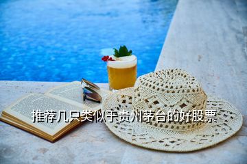 推薦幾只類似于貴州茅臺(tái)的好股票