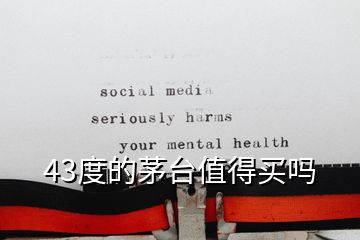 43度的茅臺(tái)值得買嗎