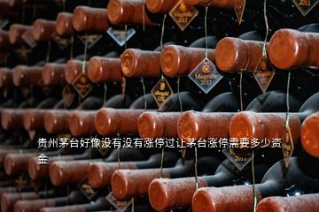 貴州茅臺(tái)好像沒(méi)有沒(méi)有漲停過(guò)讓茅臺(tái)漲停需要多少資金