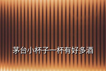 茅臺(tái)小杯子一杯有好多酒