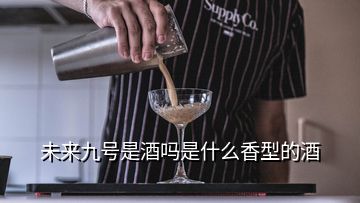 未來(lái)九號(hào)是酒嗎是什么香型的酒