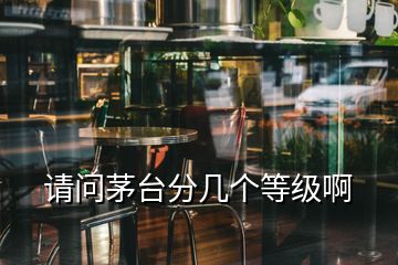 請問茅臺分幾個等級啊