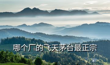哪個(gè)廠的飛天茅臺最正宗