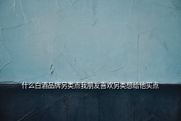 什么白酒品牌另類點我朋友喜歡另類想給他買點