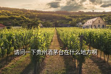 請問一下貴州酒茅臺(tái)在什么地方啊