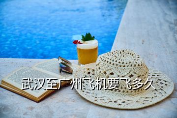 武漢至廣州飛機(jī)要飛多久