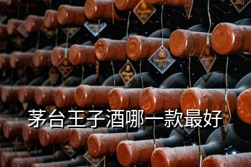 茅臺(tái)王子酒哪一款最好