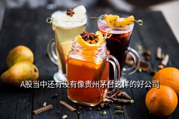 A股當(dāng)中還有沒有像貴州茅臺(tái)這樣的好公司