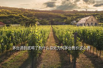 茅臺酒到底喝了有什么益處為何茅臺售價(jià)這么貴