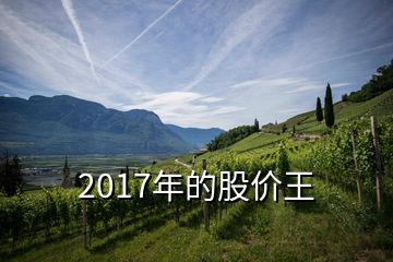 2017年的股價(jià)王