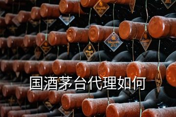 國(guó)酒茅臺(tái)代理如何