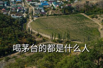 喝茅臺(tái)的都是什么人