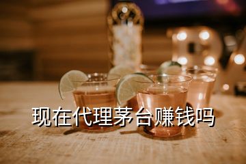 現(xiàn)在代理茅臺(tái)賺錢嗎