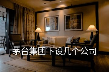 茅臺集團下設(shè)幾個公司