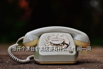 想開個茅臺專賣店要有什么條件 問一問