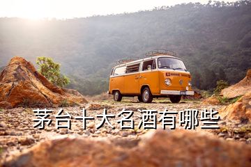 茅臺十大名酒有哪些