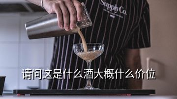 請(qǐng)問(wèn)這是什么酒大概什么價(jià)位
